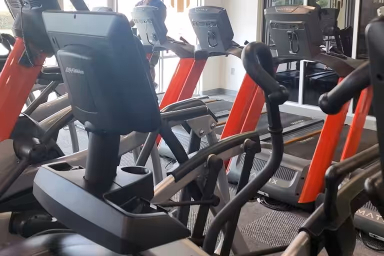 Treadmills and other cardio equipment inside of a fitness center.