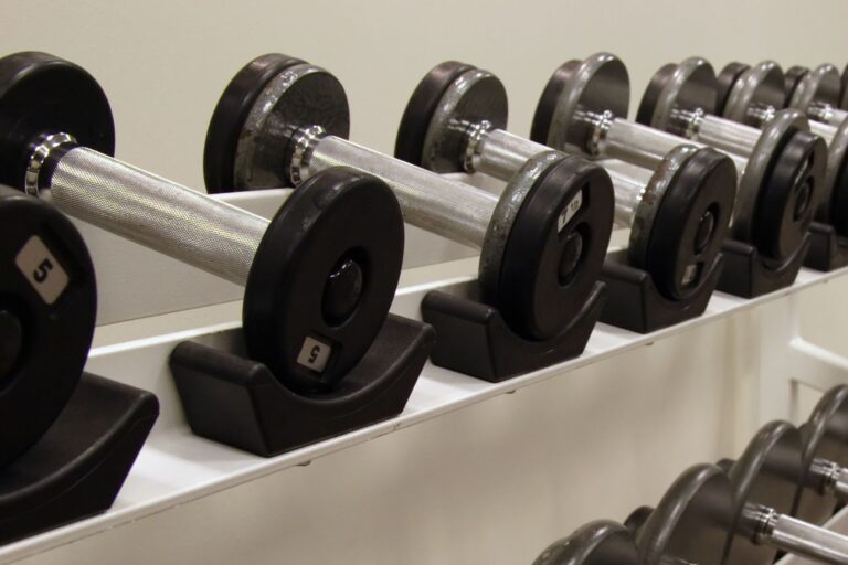 Metallic dumbbells on a rack.