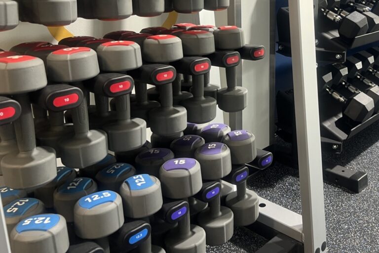 Vertical dumbbell rack up close. Light gray dumbbells of various weights hang from it.