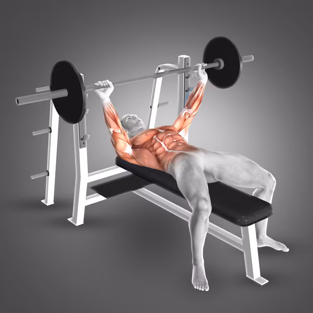 Illustration of bench press with muscle groups highlighted